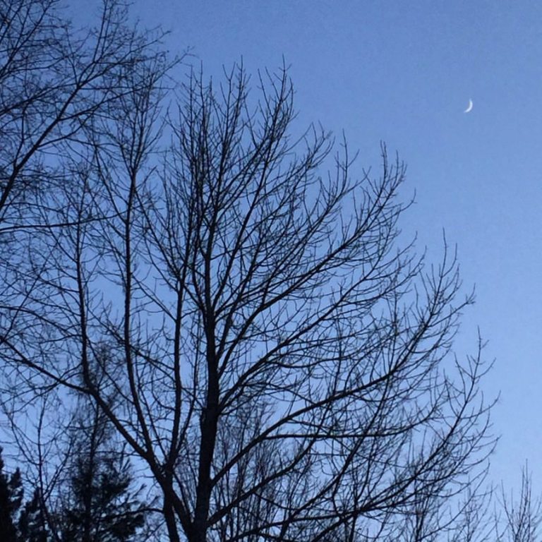 15781586_10154214504760983_5183238517035119134_n