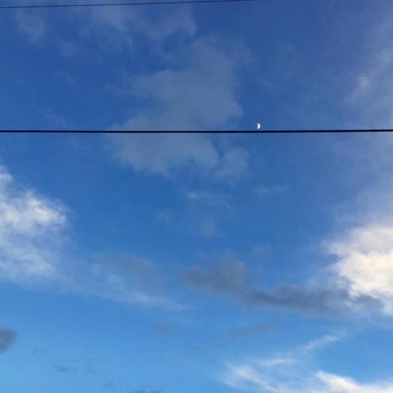 15894528_10154224956420983_4960566839800658368_n