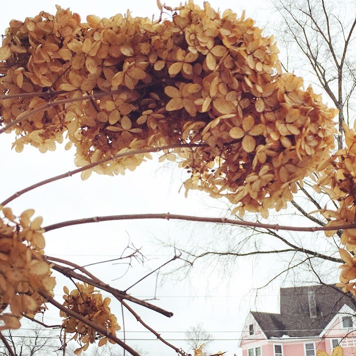 15895083_10154219871870983_9012187766697524547_n