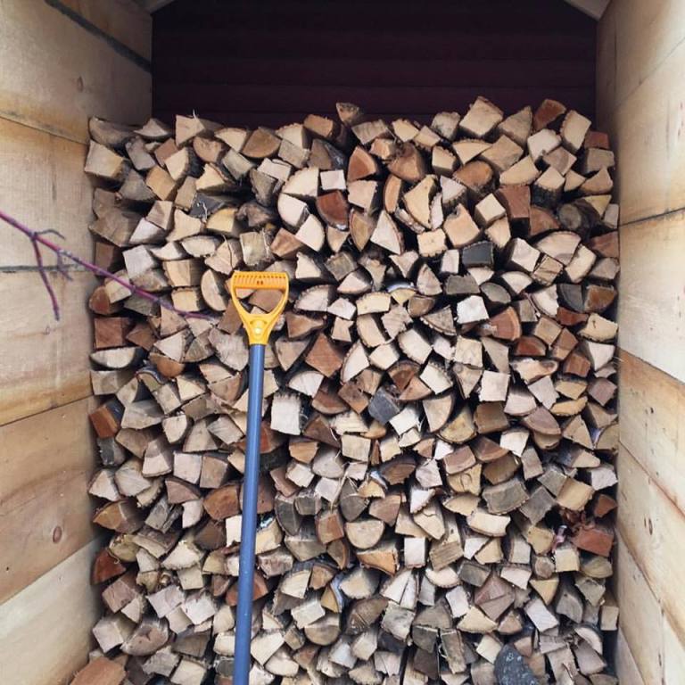 15895188_10154229074565983_2440242147063307084_n