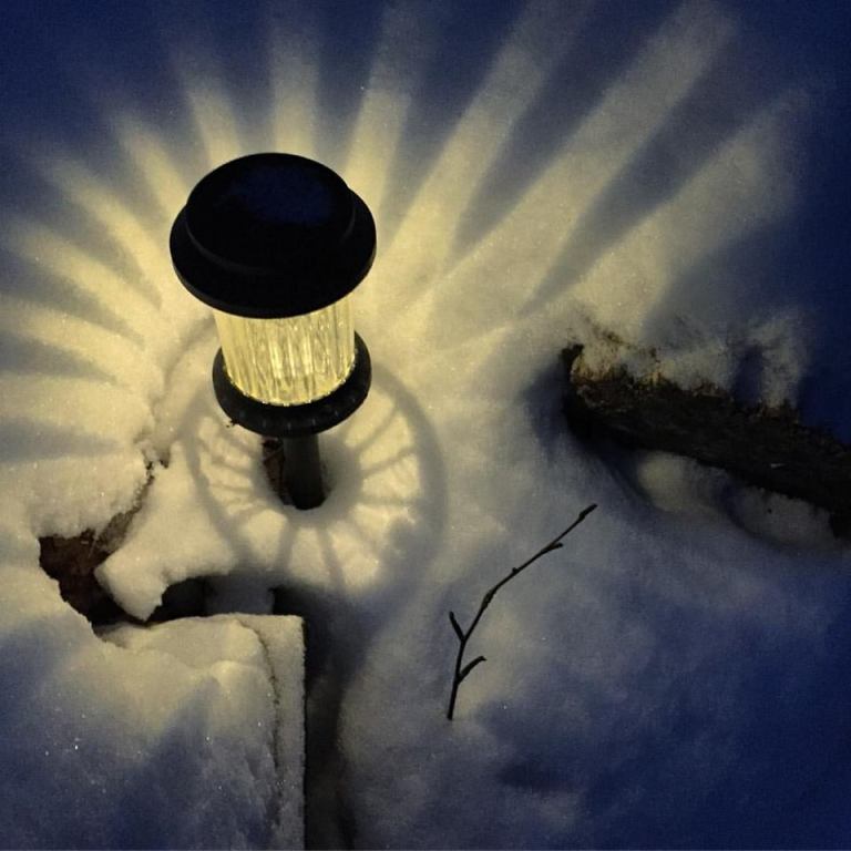 15965259_10154227214900983_7795416926665675221_n