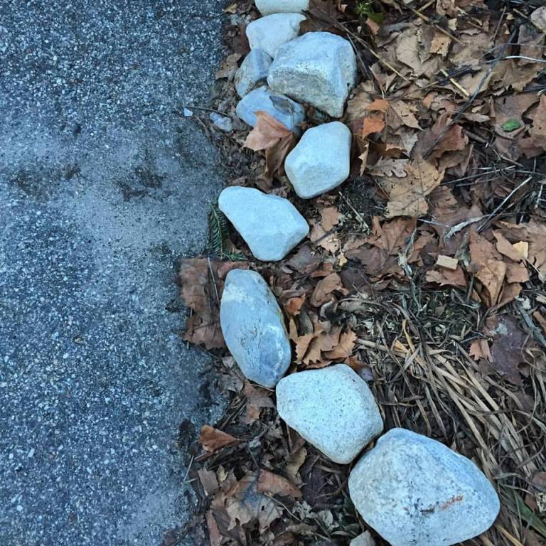 16106040_10154252120825983_5220014186082016568_n