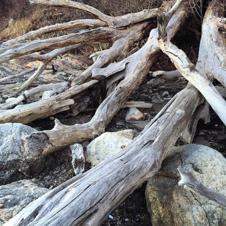 16265914_10154284519855983_3251360801679844267_n