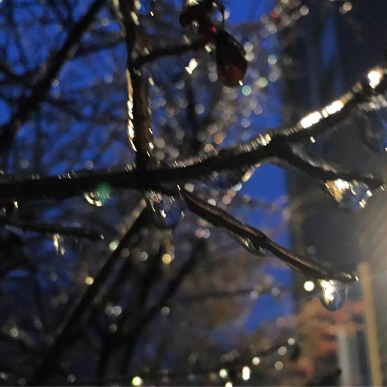 16298655_10154278407555983_4379420059896381601_n