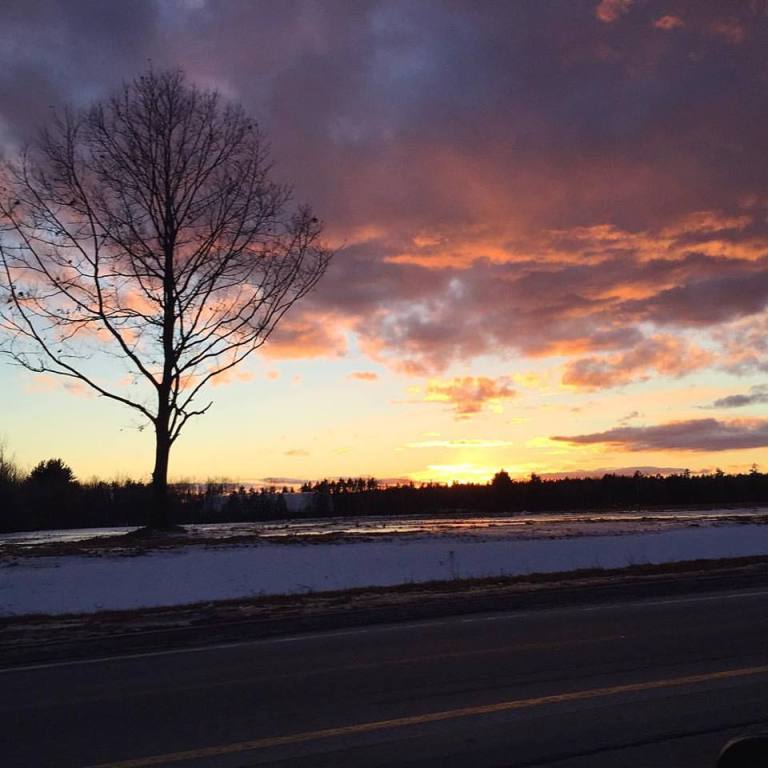 16425932_10154288591260983_7063979895031369023_n