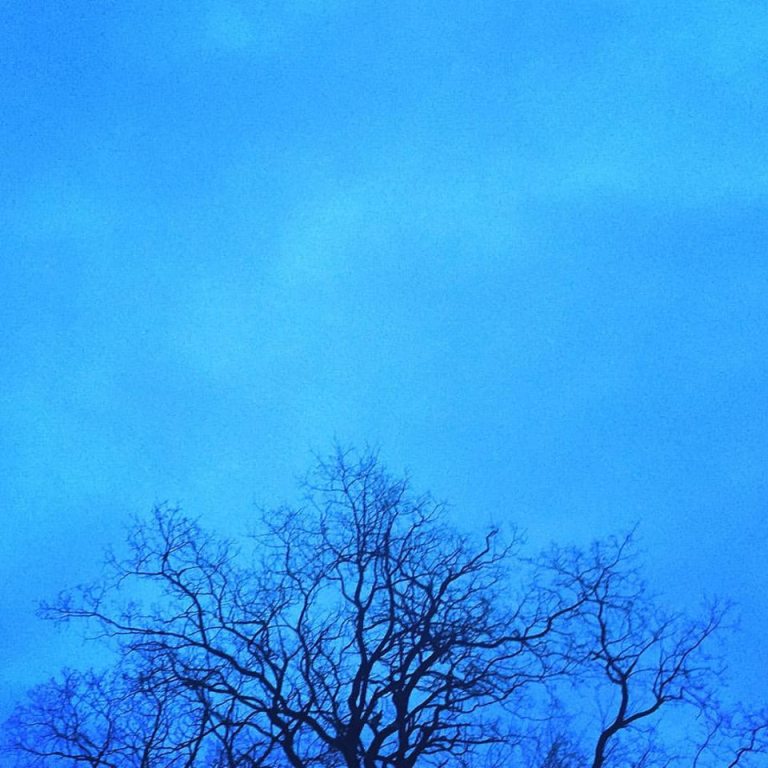 16472922_10154309309120983_2134138642668013388_n