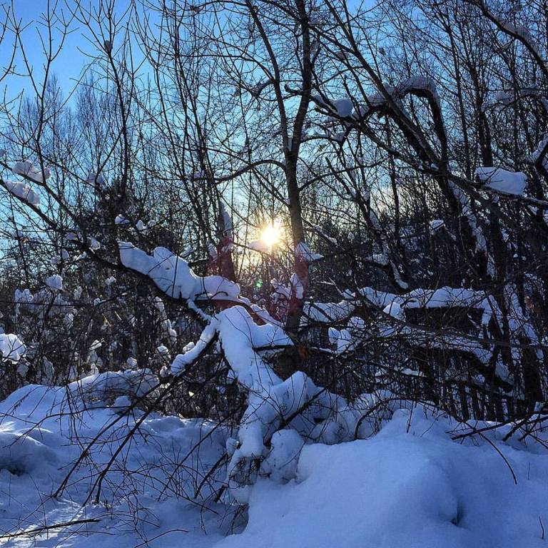 16641001_10154337958215983_5543436595701409287_n