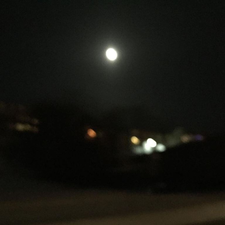 16708423_10154316208260983_4262581695352261652_n