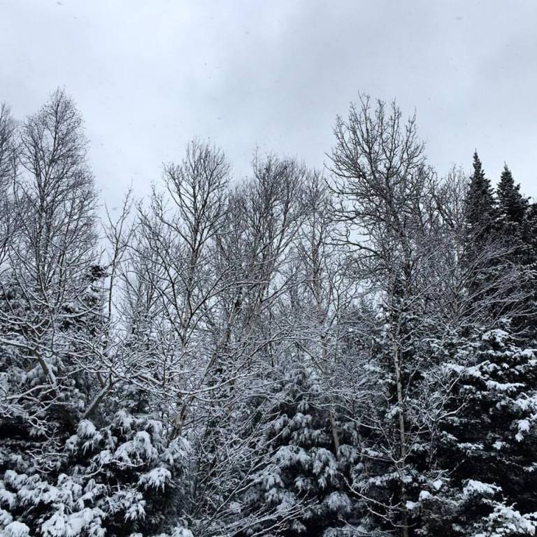 16729003_10154330236635983_6220977295683712396_n