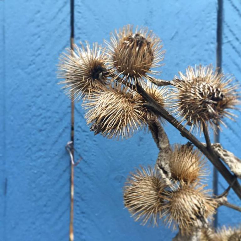 17021657_10154364920930983_8916569462382439388_n