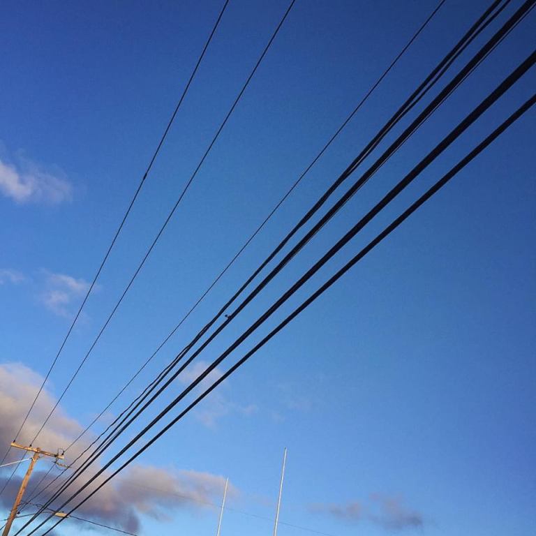 17155393_10154372533055983_3695173317549860660_n