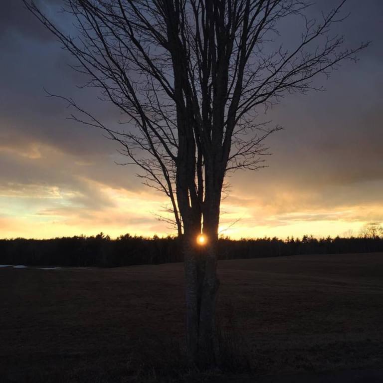 17191336_10154390979915983_5087771214628594921_n