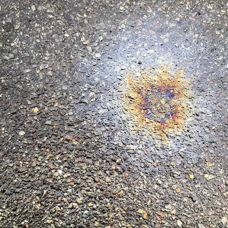 17309492_10154398644075983_5657026668063522672_n