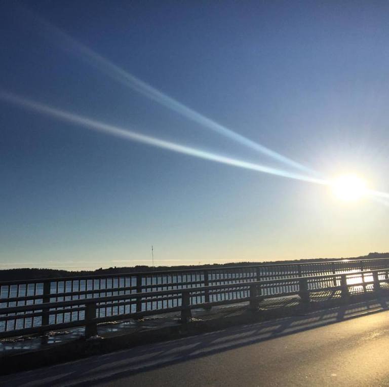 17309873_10154415421490983_3651005259024749935_n