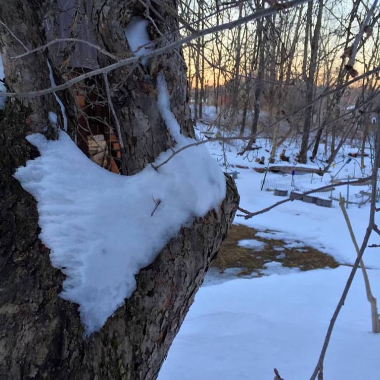 17425150_10154426796180983_2215937488057271912_n