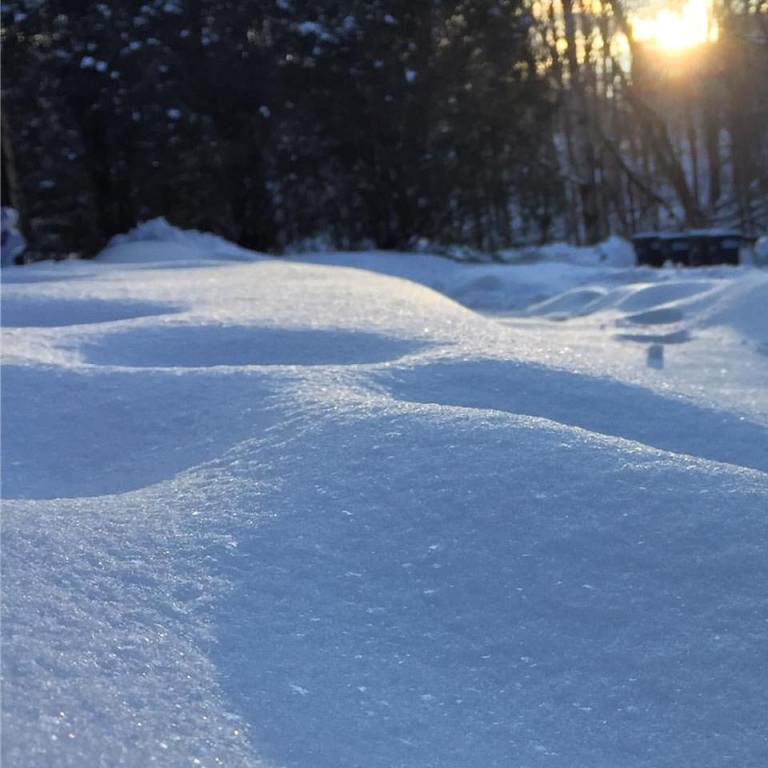 17458274_10154434614050983_6588503772648620675_n