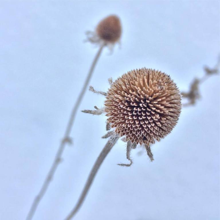 17499146_10154432020020983_222807370747886611_n