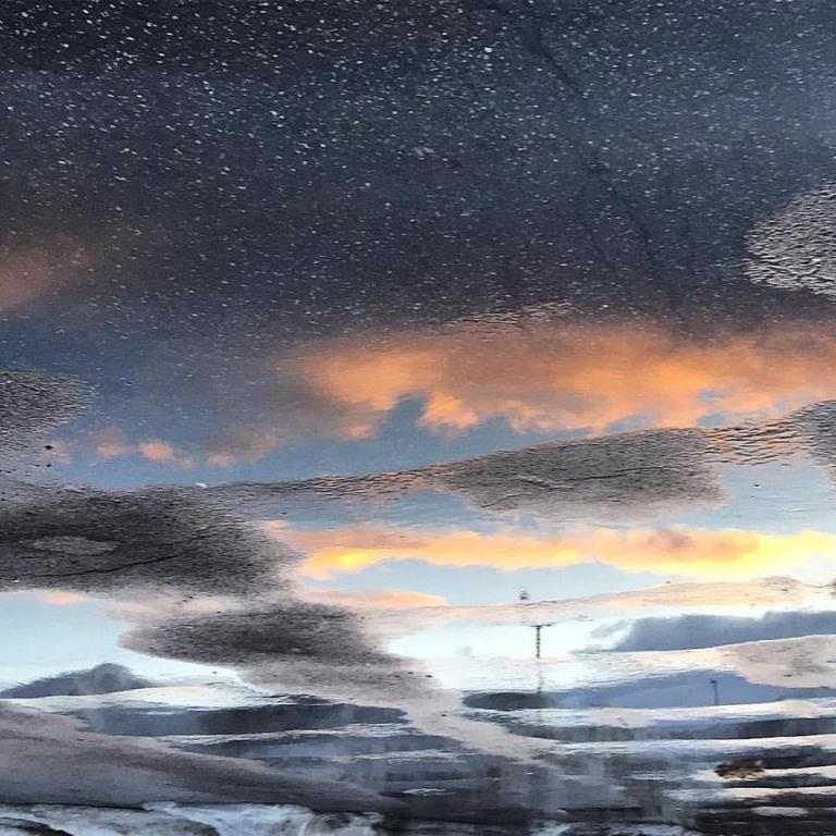 17626477_10154446360695983_6439111736157488950_n