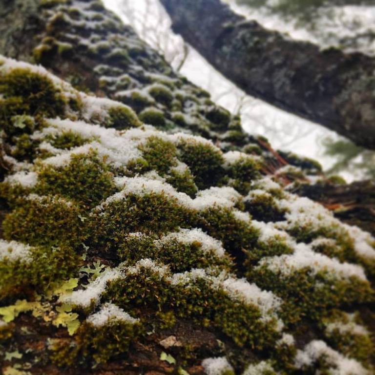 17630118_10154470154280983_3274332497141538605_n