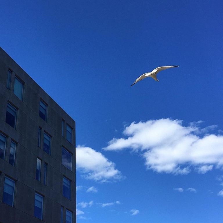 17862352_10154486946570983_2123508619627290339_n