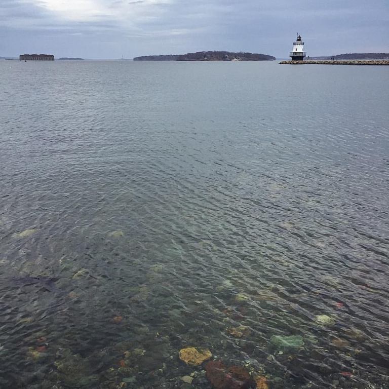 17903916_10154482324540983_8908263784409291643_n