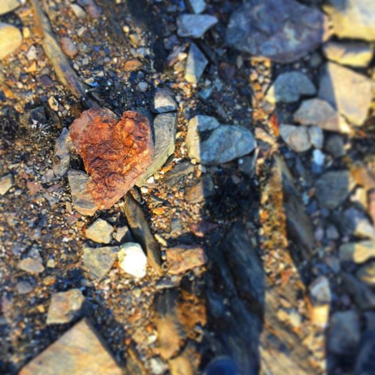 17990889_10154514249895983_2931973862054723464_n